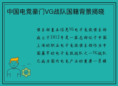 中国电竞豪门VG战队国籍背景揭晓